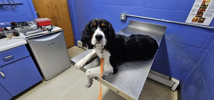 Lakeview Veterinary Clinic Picture 2