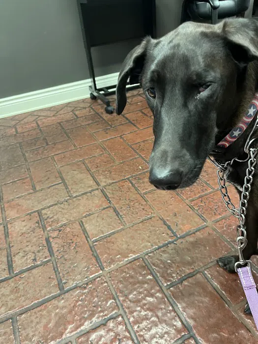 Denney Veterinary Services Picture 2