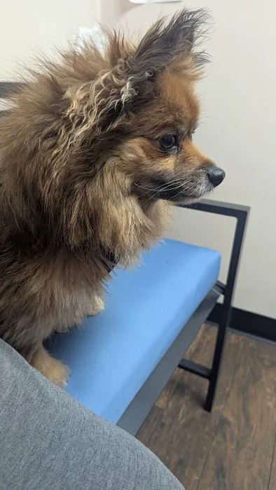 Denney Veterinary Services Picture 10