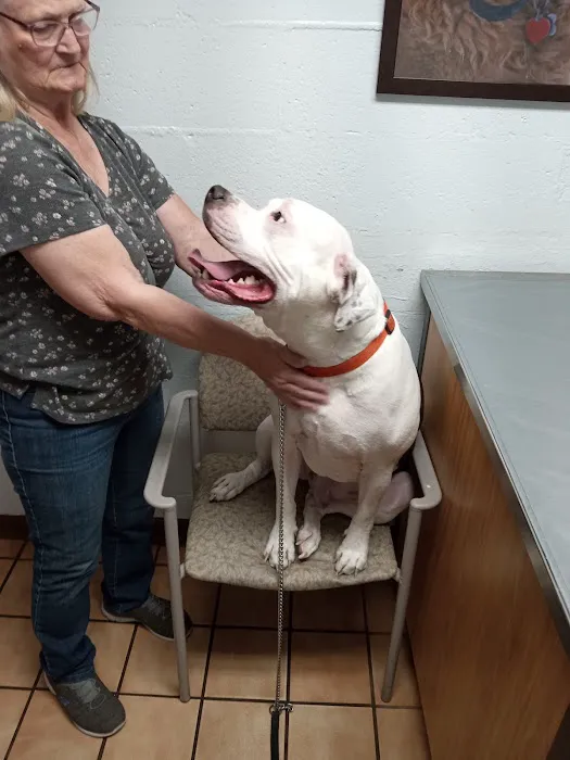 Dickman Road Veterinary Clinic Picture 2