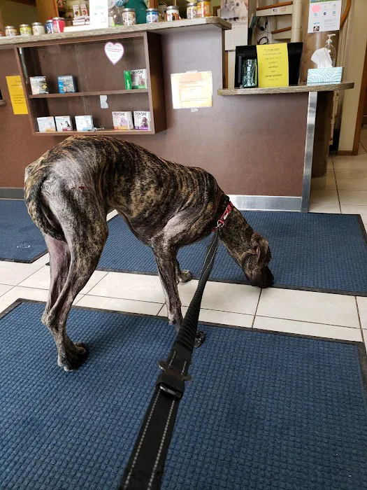 Cornerstone Veterinary Services Inc Picture 5
