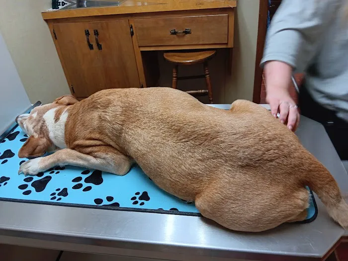 Manchester Veterinary Clinic & Supply Picture 8