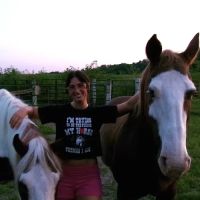 Conley & Koontz Equine Hospital ico