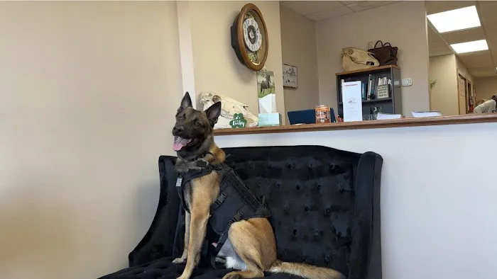 AA Vetcare LLC Picture 1
