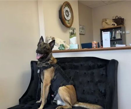 AA Vetcare LLC