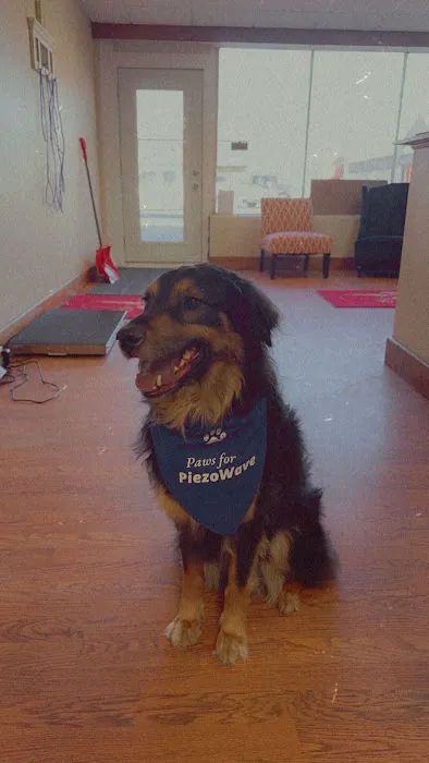 AA Vetcare LLC Picture 9
