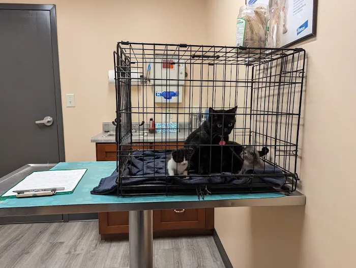 Miami County Veterinary Clinic Picture 2