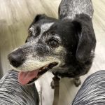 Miami County Veterinary Clinic