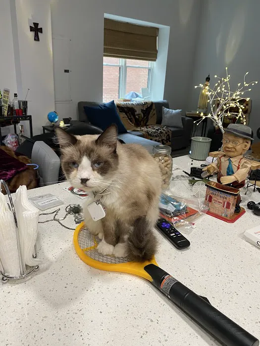 Miami County Veterinary Clinic Picture 7
