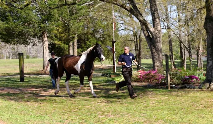 Garrison Equine Veterinary Care, LLC Picture 3