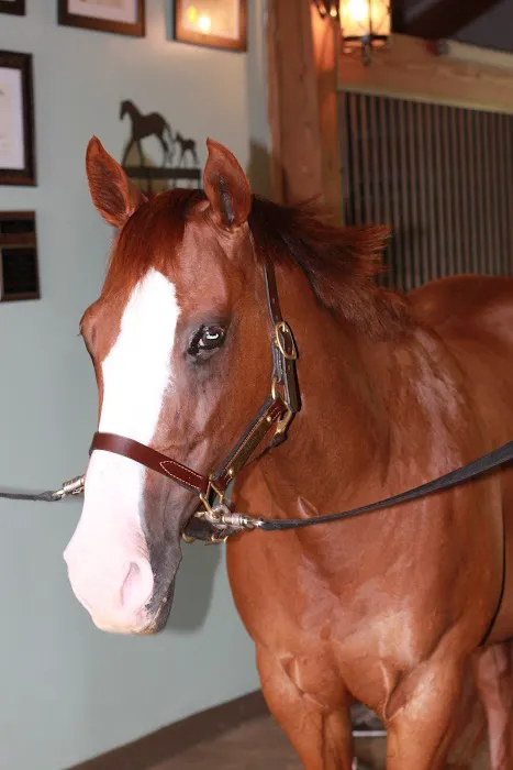 Garrison Equine Veterinary Care, LLC Picture 6