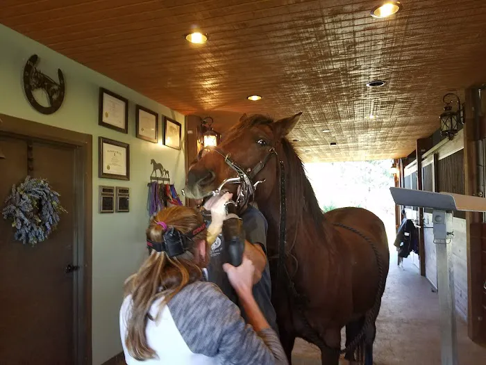 Garrison Equine Veterinary Care, LLC Picture 8
