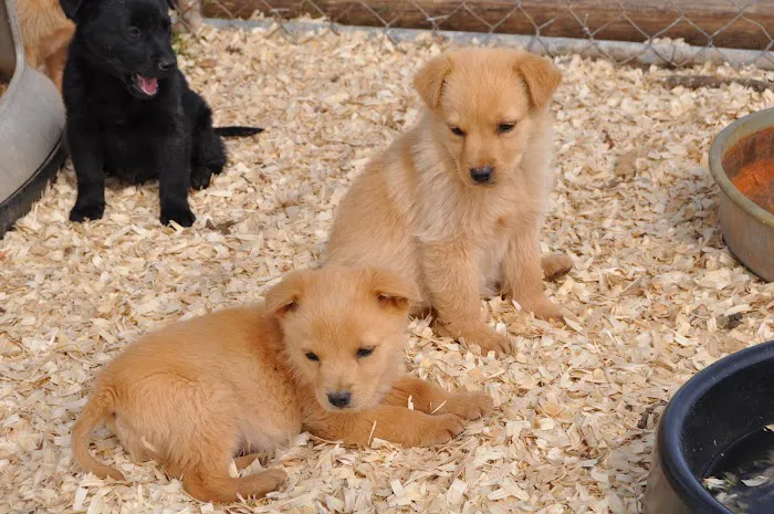 Crossroads Animal Hospital Picture 3