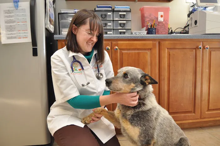 Crossroads Animal Hospital Picture 8