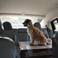 Oconee Veterinary Clinic ico