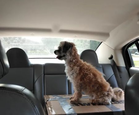 Oconee Veterinary Clinic