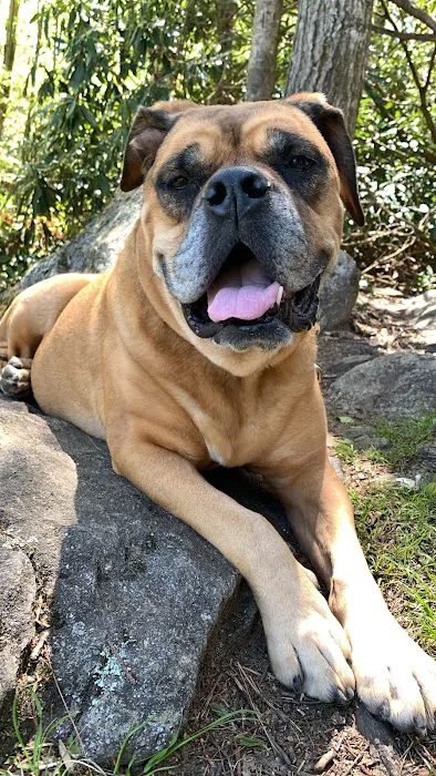 Oconee Veterinary Clinic Picture 9