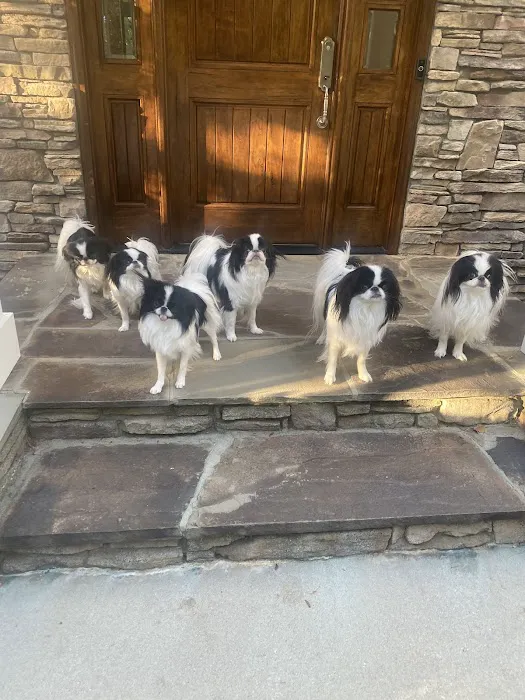 Keowee Animal Hospital Picture 4