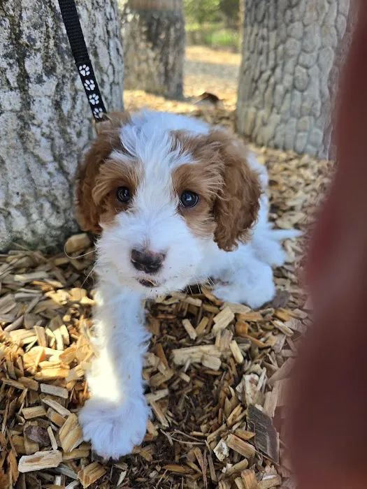 Keowee Animal Hospital Picture 7