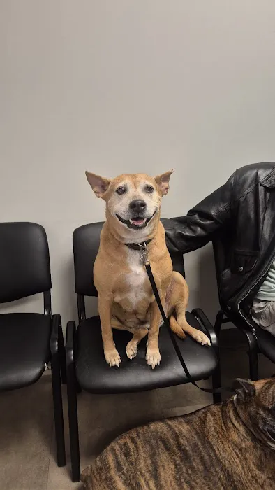 Keowee Animal Hospital Picture 5