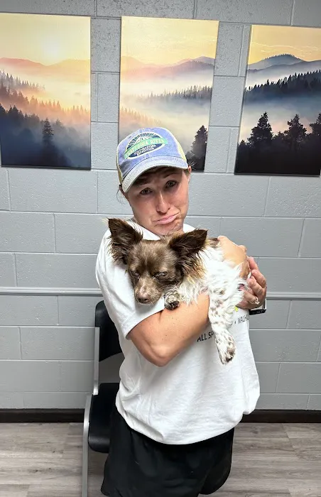 Walhalla Veterinary Clinic: Stroud David P DVM Picture 4