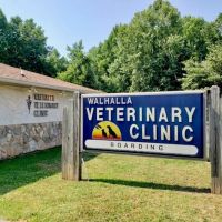 Walhalla Veterinary Hospital ico