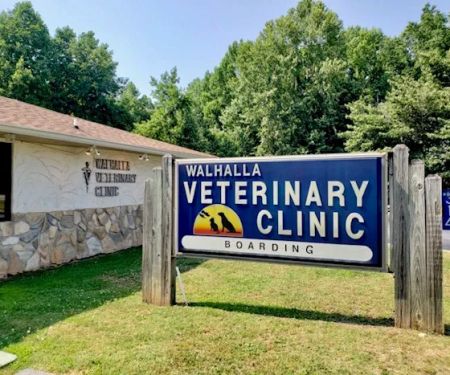Walhalla Veterinary Hospital