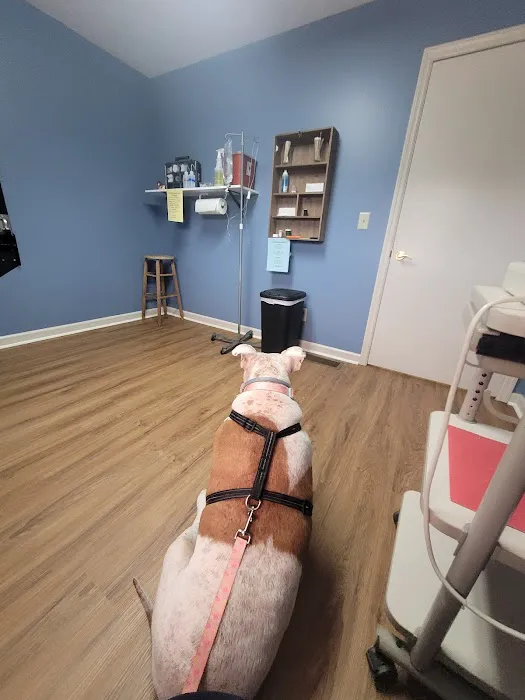 Animal Medical Clinic Picture 1