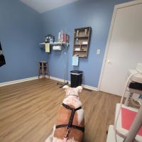 Animal Medical Clinic ico