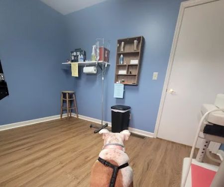 Animal Medical Clinic