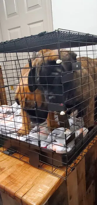 Animal Medical Clinic Picture 5