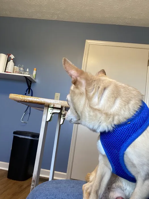 Animal Medical Clinic Picture 9