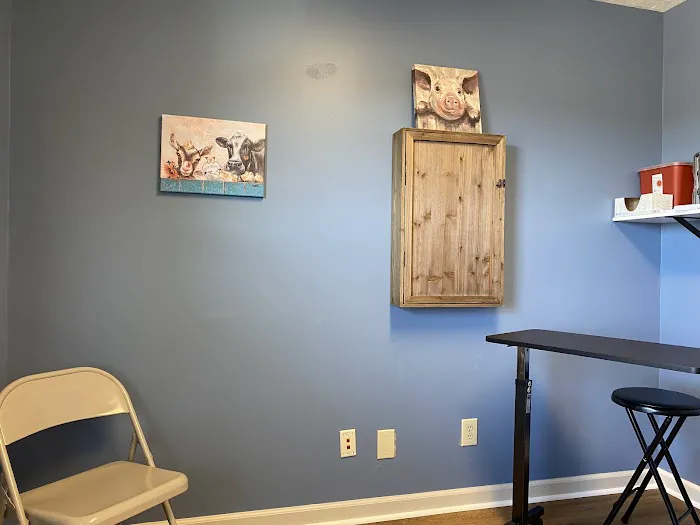 Animal Medical Clinic Picture 8