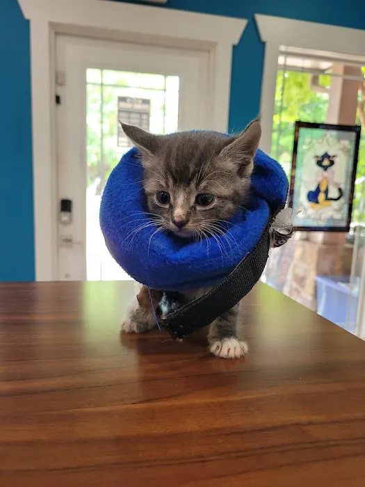 Pickens Animal Rescue Veterinary Hospital Picture 2