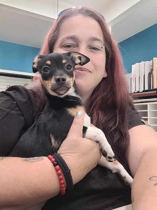 Pickens Animal Rescue Veterinary Hospital Picture 4