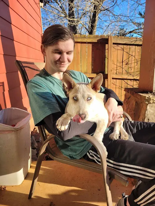 Pickens Animal Rescue Veterinary Hospital Picture 6