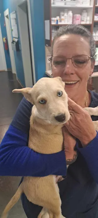 Pickens Animal Rescue Veterinary Hospital Picture 7