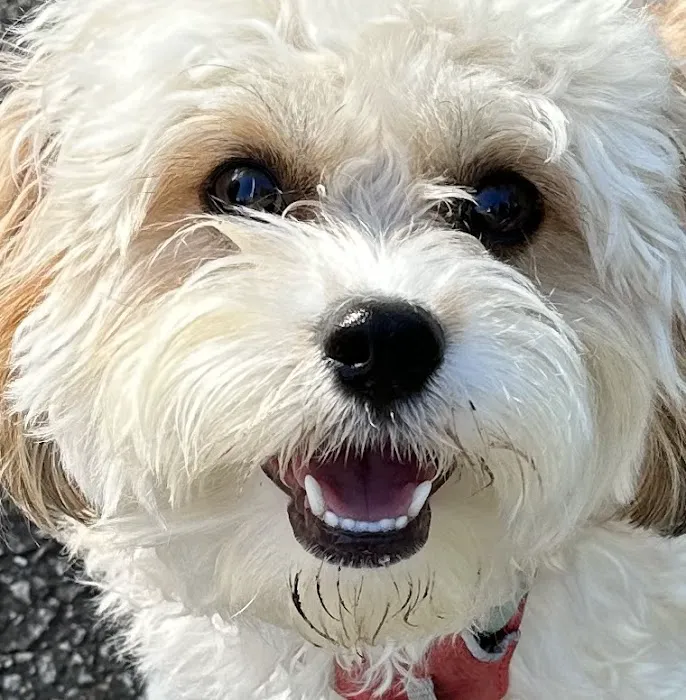 Wayside Animal Hospital Picture 4