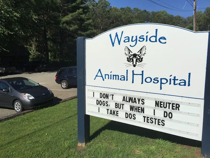 Wayside Animal Hospital Picture 2