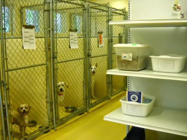 Wayside Animal Hospital Picture 10