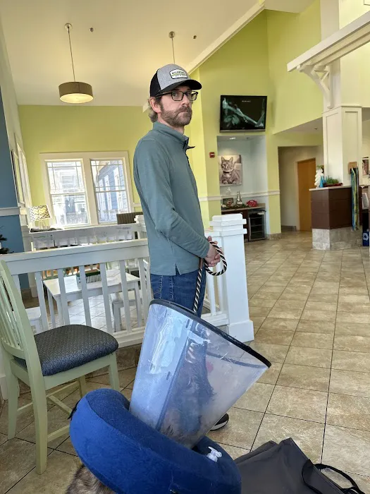 Needham Animal Hospital Picture 6