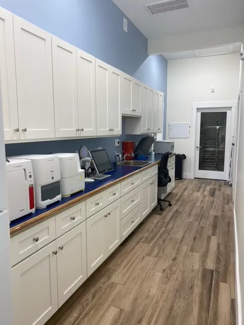 Paw Springs Veterinary Hospital - Midtown Picture 7
