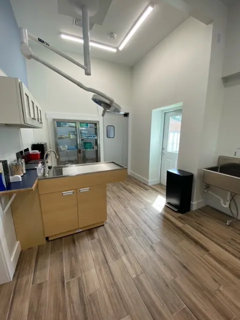 Paw Springs Veterinary Hospital - Midtown Picture 8