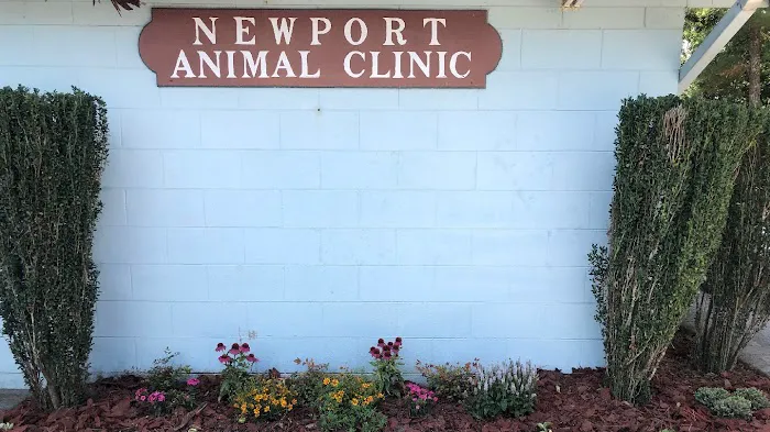 Newport Animal Clinic Picture 1