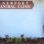 Newport Animal Clinic