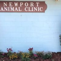 Newport Animal Clinic ico