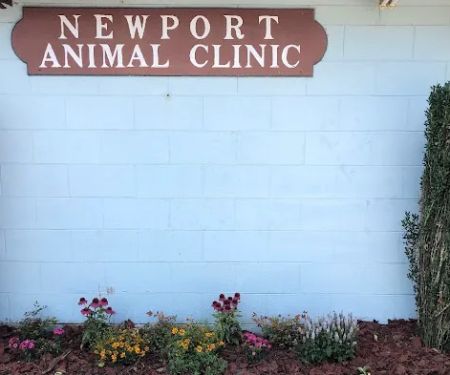 Newport Animal Clinic