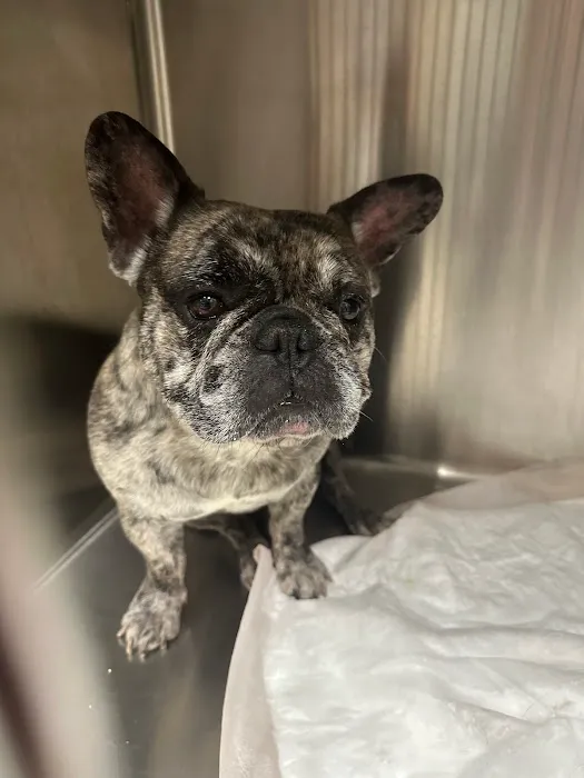 Newport Animal Clinic Picture 5