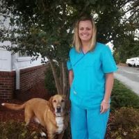 PetDocks Veterinary Hospital ico
