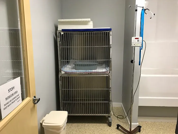 Emergency Pet Hospital of Craven-Carteret Picture 4